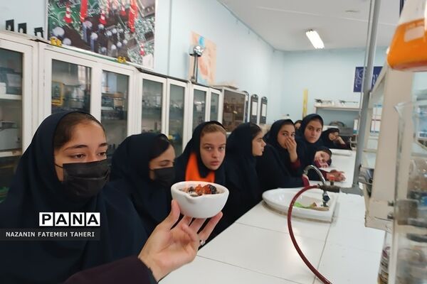 بازدید دانش‌آموزان دبیرستان حضرت زینب(س) از پژوهش‌سرای دانش‌آموزی جابربن‌حیان فشافویه
