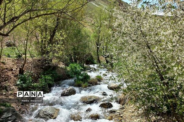 اردوی یک‌روزه طبیعت‌گردی توسط انجمن کوهنوردی بهارستان دو
