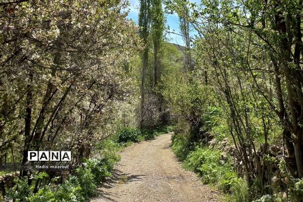 اردوی یک‌روزه طبیعت‌گردی توسط انجمن کوهنوردی بهارستان دو