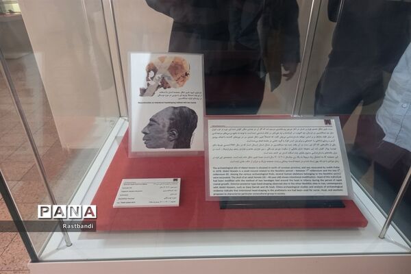بازدید دانش‌آموزان دبیرستان عرفان منطقه ۱۳ از موزه ملی ایران