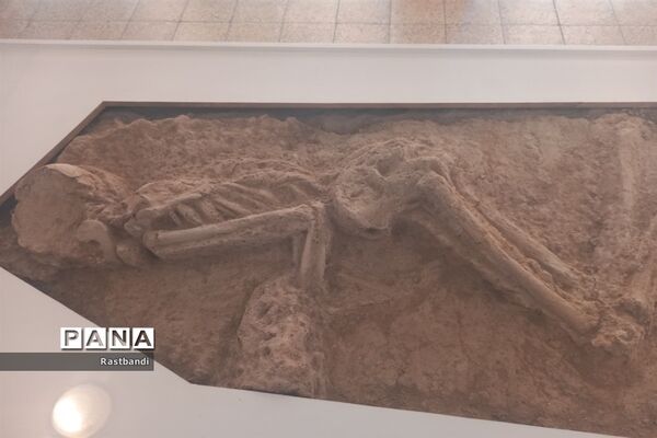 بازدید دانش‌آموزان دبیرستان عرفان منطقه ۱۳ از موزه ملی ایران