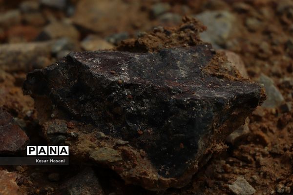 مس سونگون در مسیر آینده‌ای پرنور