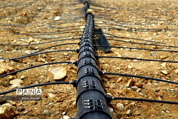 مس سونگون در مسیر آینده‌ای پرنور