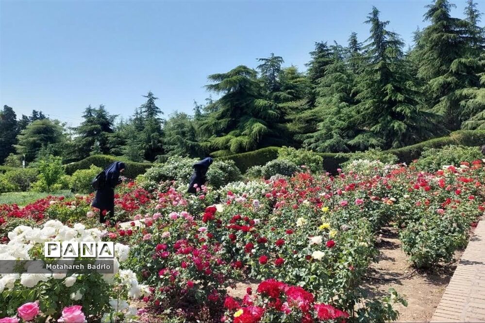 بازدید دانش‌آموزان آموزشگاه فرزانگان اسلامشهر از باغ گیاه‌شناسی ملی ایران