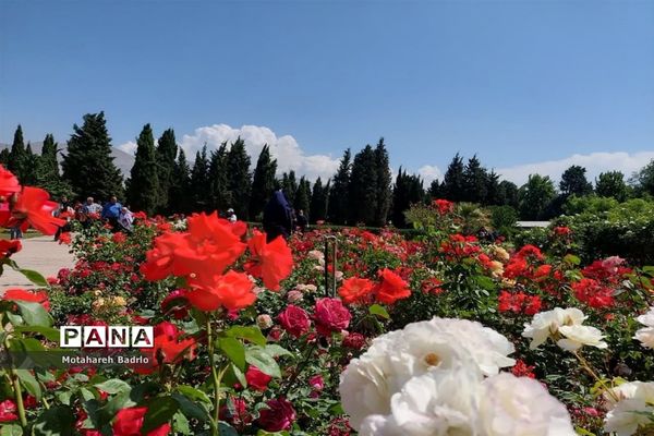 بازدید دانش‌آموزان آموزشگاه فرزانگان اسلامشهر از باغ گیاه‌شناسی ملی ایران