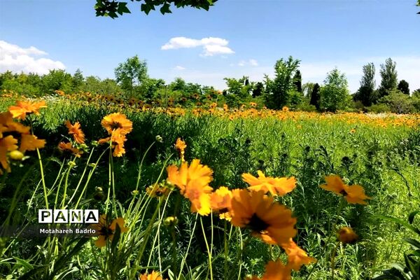 بازدید دانش‌آموزان آموزشگاه فرزانگان اسلامشهر از باغ گیاه‌شناسی ملی ایران