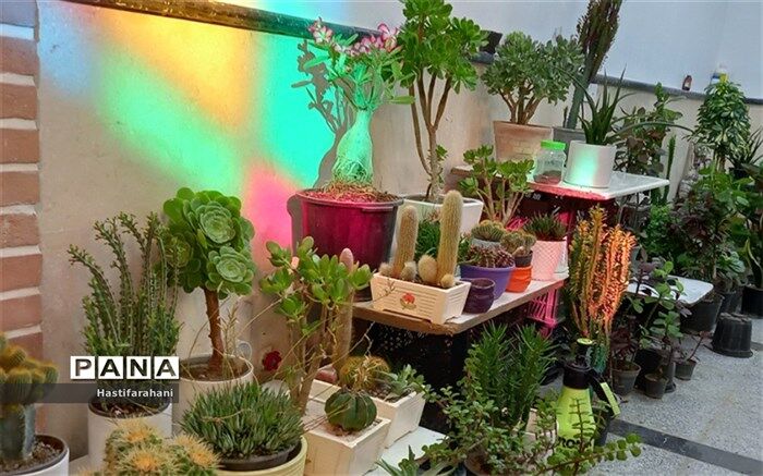 برگزاری دومین نمایشگاه گل و گیاه در شهرستان قرچک 