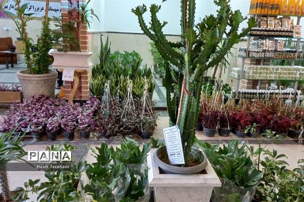 دومین نمایشگاه گل و گیاه در شهرستان قرچک‌