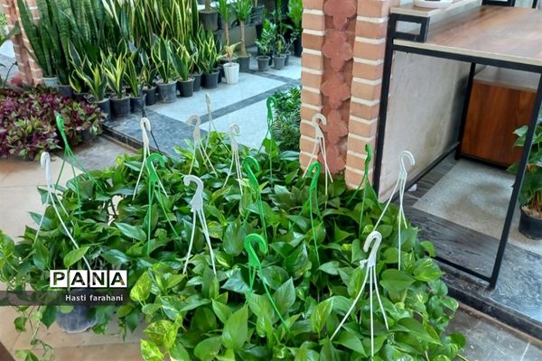 دومین نمایشگاه گل و گیاه در شهرستان قرچک‌