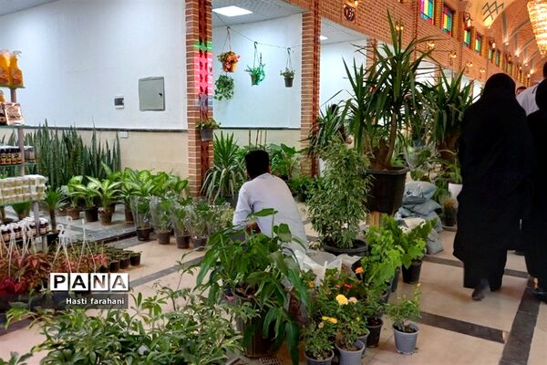 دومین نمایشگاه گل و گیاه در شهرستان قرچک‌