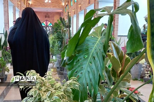 دومین نمایشگاه گل و گیاه در شهرستان قرچک‌
