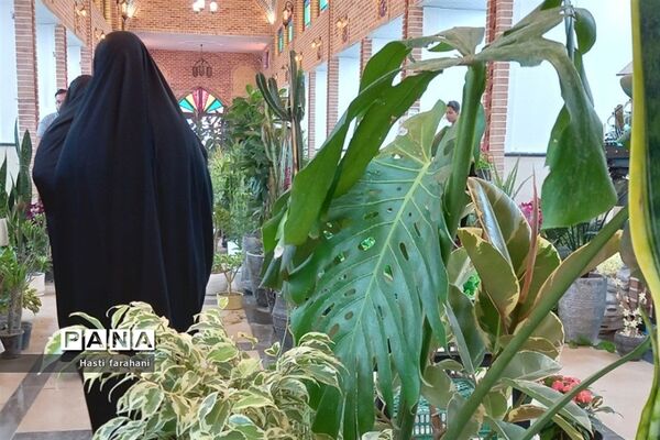 دومین نمایشگاه گل و گیاه در شهرستان قرچک‌