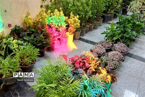 دومین نمایشگاه گل و گیاه در شهرستان قرچک‌