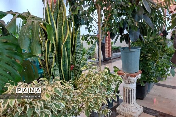 دومین نمایشگاه گل و گیاه در شهرستان قرچک‌