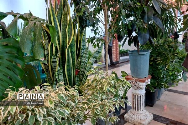 دومین نمایشگاه گل و گیاه در شهرستان قرچک‌