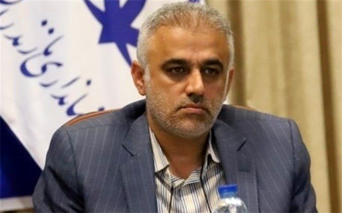 یک سوم نهال‌های طرح مردمی کاشت یک میلیارد درخت به زارعت چوب اختصاص دارد