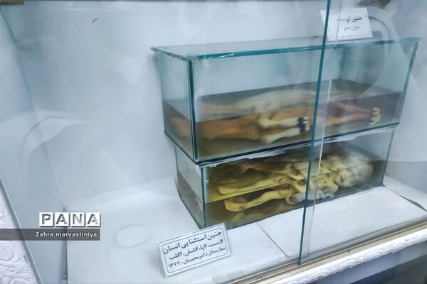 اردوی یک روزه دانش‌آموزان دبستان دخترانه زکیه مروست