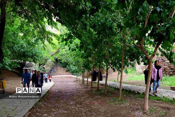 میراثی از جنس تاریخ