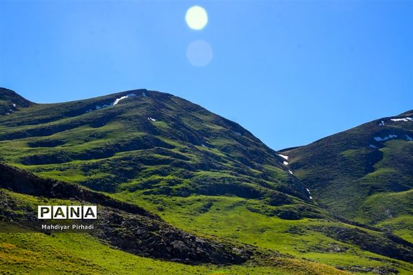 دشت لاله‌های واژگون در اراک