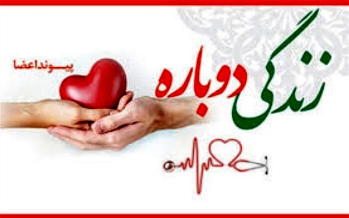 اهدا عضو، پایانی که ادامه زندگی دیگران می‌شود/فیلم