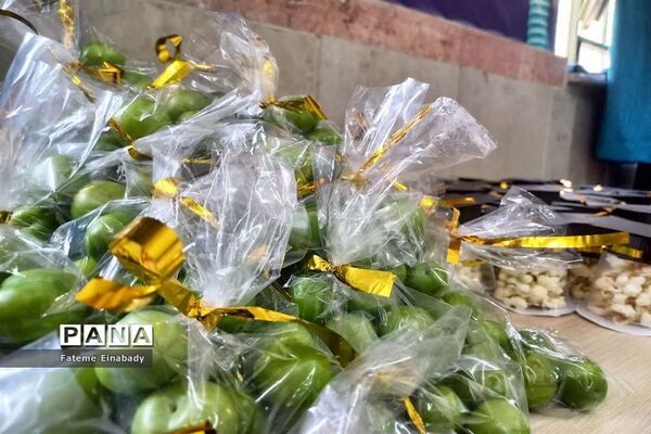 جشن فارغ‌التحصیلی و روز دختر در مدرسه حاجیه نوری ملارد