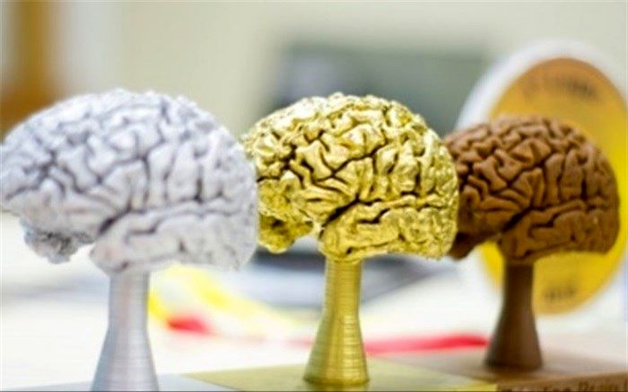 دانش‌آموز سنندجی نماینده ایران در رقابت‌های دانش‌ مغز در آمریکا شد