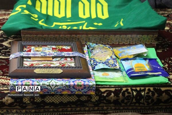 دیدار خادمیاران رضوی قم با مادر شهیدان عباسی