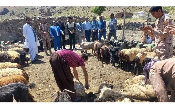 زنجیره گوشت قرمز در خراسان جنوبی 5 میلیارد تسهیلات گرفت