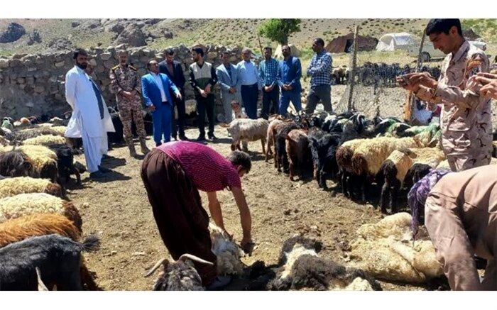 زنجیره گوشت قرمز در خراسان جنوبی 5 میلیارد تسهیلات گرفت