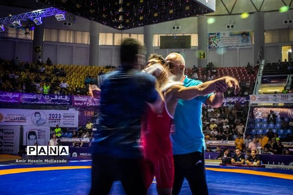 چهل و سومین دوره مسابقات کشتی آزاد جام تختی