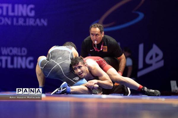 چهل و سومین دوره مسابقات کشتی آزاد جام تختی