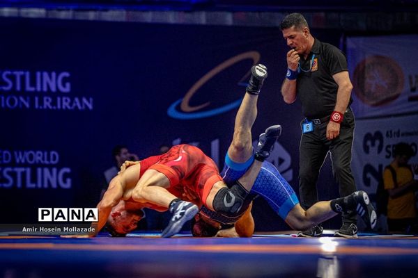 چهل و سومین دوره مسابقات کشتی آزاد جام تختی