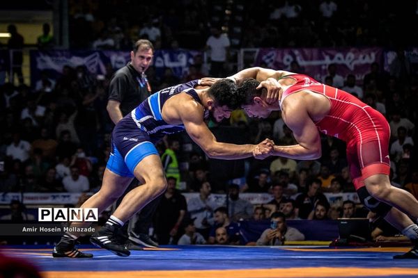 چهل و سومین دوره مسابقات کشتی آزاد جام تختی