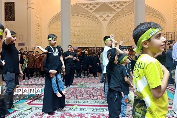 اجتماع  و عزاداری سربازان ظهور امام زمان(عج) در حرم مطهر احمد ابن موسی (ع)