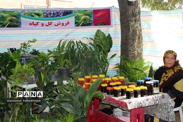 نمایشگاه انجیر، محصولات باغی و صنایع دستی در گلوگاه