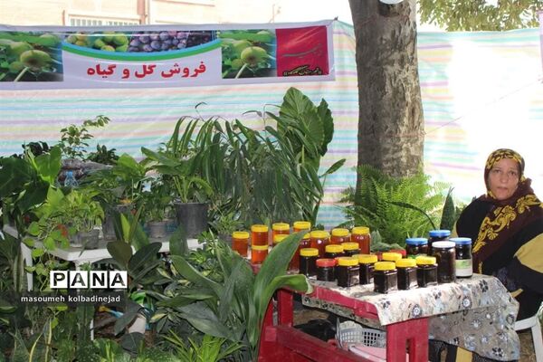 نمایشگاه انجیر، محصولات باغی و صنایع دستی در گلوگاه