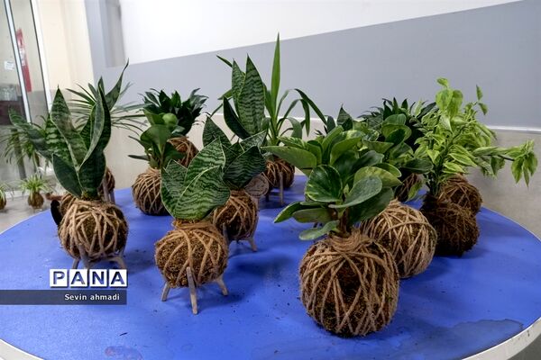 برپایی نمایشگاه گل و گیاه در فرهنگسرای بعثت صفادشت
