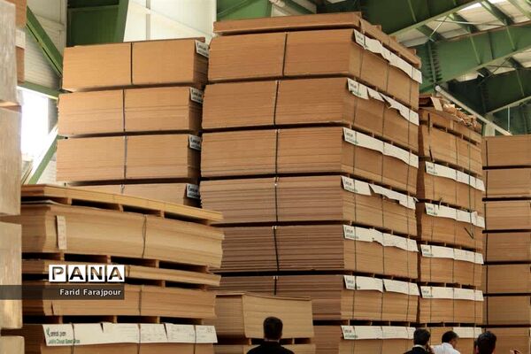 بازدید خبرنگاران از ظرفیت‌های منطقه آزاد ارس