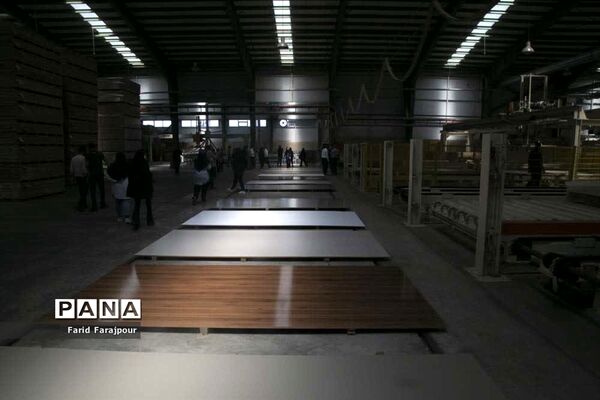 بازدید خبرنگاران از ظرفیت‌های منطقه آزاد ارس