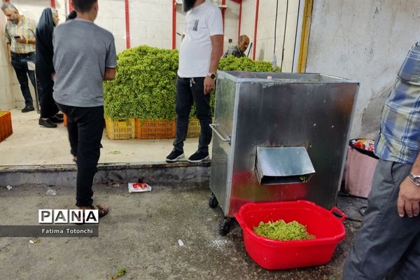 فصل آبغوره‌گیری در شیراز