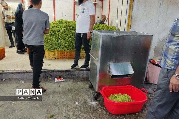 فصل آبغوره‌گیری در شیراز