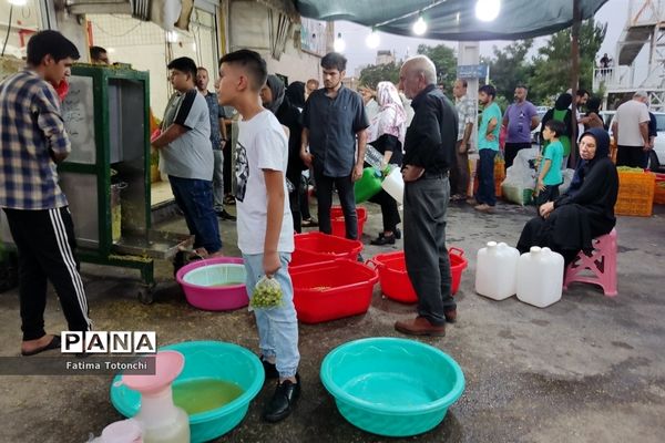 فصل آبغوره‌گیری در شیراز