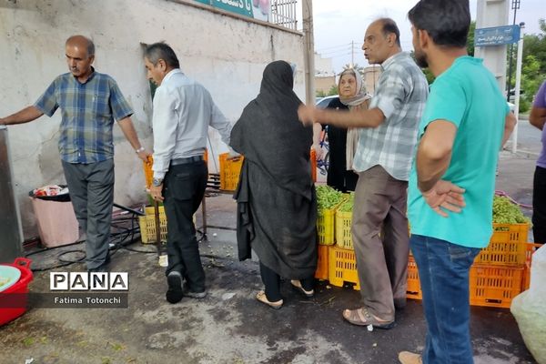 فصل آبغوره‌گیری در شیراز