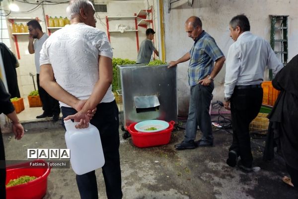 فصل آبغوره‌گیری در شیراز