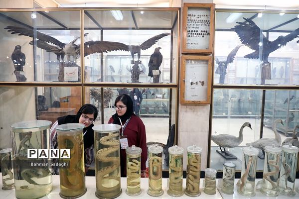 هفتمین دوره روزی با دانشگاه تهران