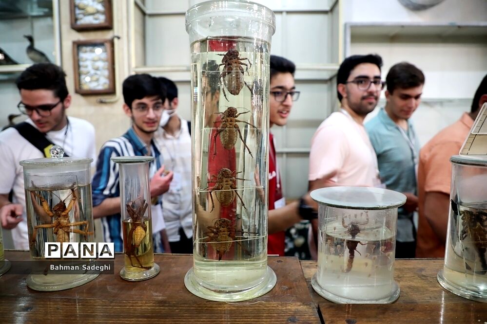 هفتمین دوره روزی با دانشگاه تهران