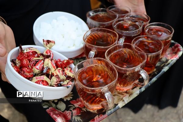 بازدید معاون پرورشی و فرهنگی وزارت آموزش و پرورش از اردوی استانی مثبت هشتادیا