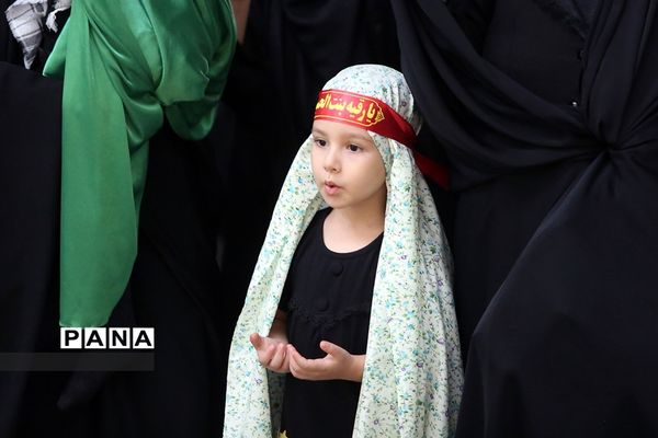 اجتماع بزرگ «سه ساله‌های کربلا» در حرم حضرت معصومه(س)