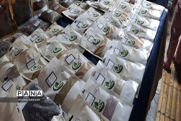 بازید معاون استاندار و  فرماندار شهر  مشهد از نمایشگاه دست آوردهای طهورا