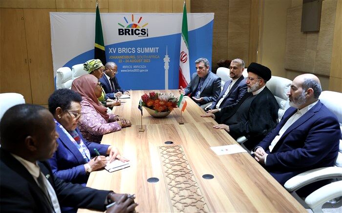 آیت الله رئیسی با رئیس‌جمهور تانزانیا دیدار کرد